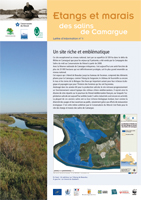 Visages de Camargue - Mai-Juin 2015